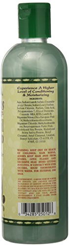 Originals by Africa's Best Olive Oil Shampoo 12 fl oz | Stimulates & Moisturizes Dry, Thinning Hair