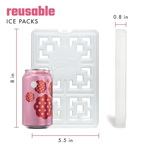 Fit & Fresh XL Reusable Ice Packs - 2 Pack for Coolers & Lunch Boxes