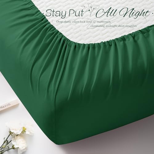 Vonty Green Cot Fitted Sheet 31"x75" - 1800 Thread Count Microfiber