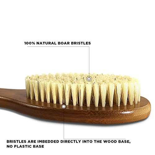 ICANdOIT 17.71 Inch Boar Bristle Bath Brush with Long Handle - Exfoliating Shower Scrubber (1 Pack)