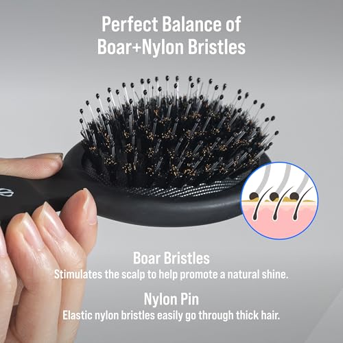 SOOO Mini Boar Bristle Detangler Brush - Compact Travel Hair Brush