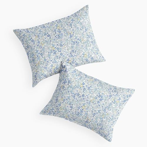 Floral Pillow Cases Set of 2 - Vintage Daisy Design, Light Blue, 20x26 Inches