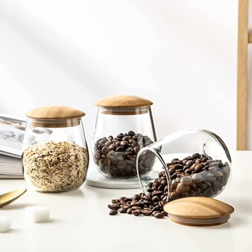 MOLADRI 400 ML Clear Glass Storage Jar with Airtight Bamboo Lid
