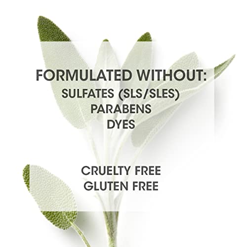 SEVEN Haircare Cubica 7-DAY Shampoo 2 Fl Oz - Sulfate & Paraben Free