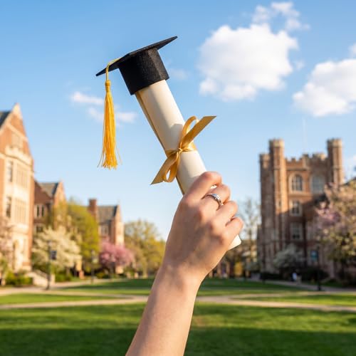 20 Mini Graduation Caps with Tassels - Felt Wine Bottle Toppers