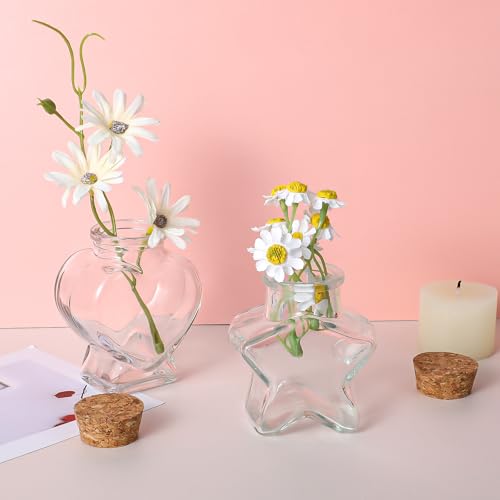 Mini Glass Bottles with Cork Stoppers - Heart & Star Shapes (2 Pcs)