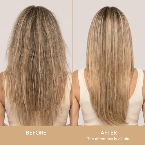 Daily Perfection Argan Oil Conditioner with Biotin & Keratin, 16.9 Fl Oz