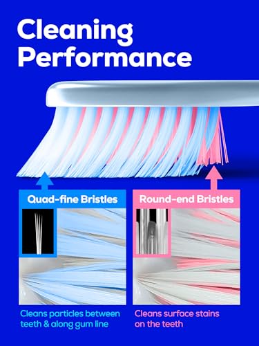 Pectrus Quad-fine 10 Pack Soft Toothbrushes for Sensitive Gums & Deep Cleaning