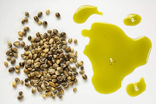 Cocojojo Hemp Seed Oil 16 oz Cold Pressed Unrefined Pure Carrier Oil for DIY Beauty & Tinctures