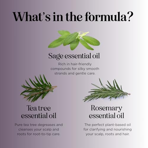 Sage and Rosemary Shampoo - Sulfate Free, 16 Fl Oz for Dry Scalp