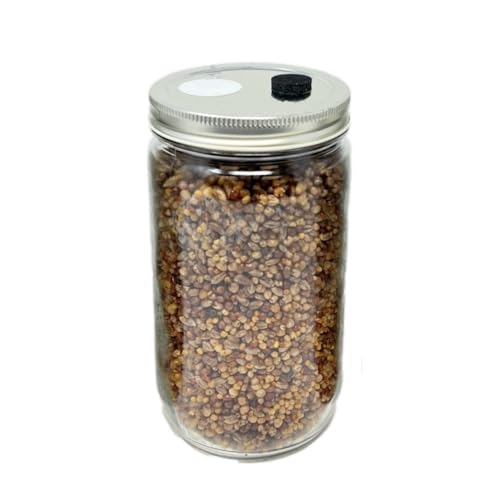 Microppose Self-Healing Injection Ports for Mushroom Spawn Bags (50-Pack)