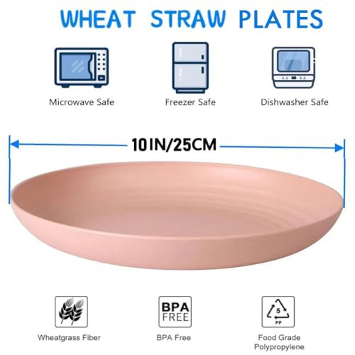 K Y KANGYUN 10 Inch Unbreakable Wheat Straw Dinner Plates Set of 4