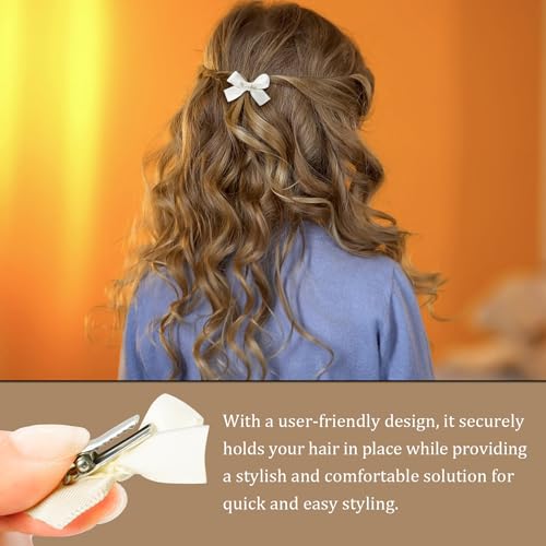 24-Piece Mini Bowknot Hair Clips Set for Women & Girls