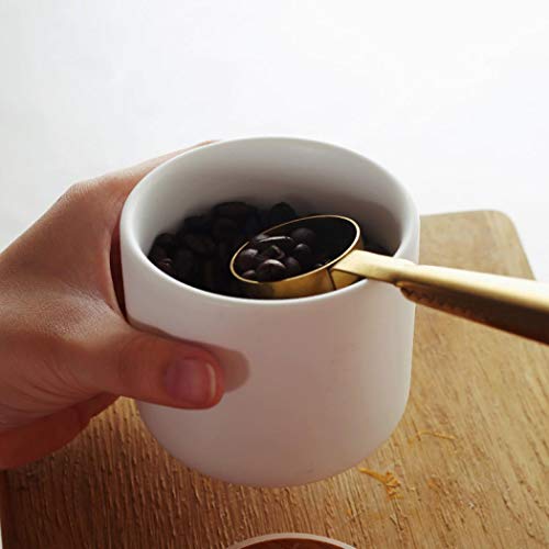 MilkyWay Ceramic Food Storage Jar with Airtight Bamboo Lid - 7.03oz