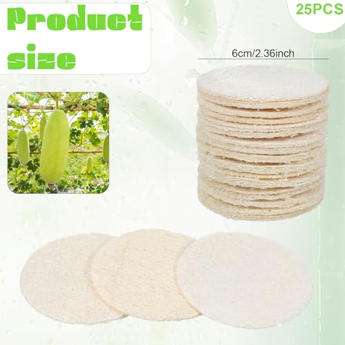 Natural Loofah Facial Pads 25 Pcs Exfoliating Scrub Sponges for Daily Cleansing
