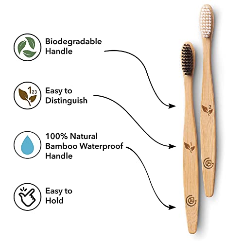 Greenzla Organic Bamboo Toothbrush Set – 12 Pack with Charcoal Bristles