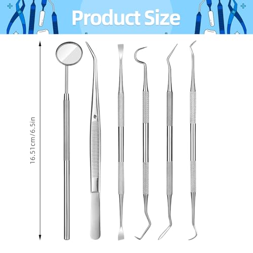 Ceonam 6-Piece Dental Tools Set — Stainless Steel Oral Care Kit with Mirror, Tweezers, Probe, Scaler & Case