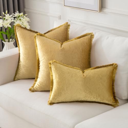 FUTEI Pack of 2 Velvet Throw Pillow Covers 18x18 Inch with Tassels