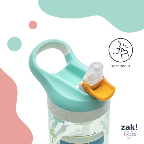 Zak Designs Sonic the Hedgehog Kids Water Bottle 16oz - 2-Pack