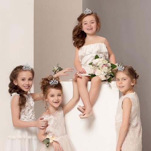 Minkissy 4pcs Kids Crown Hair Clips & Tiaras - Rhinestone Little Girl Hair Accessories