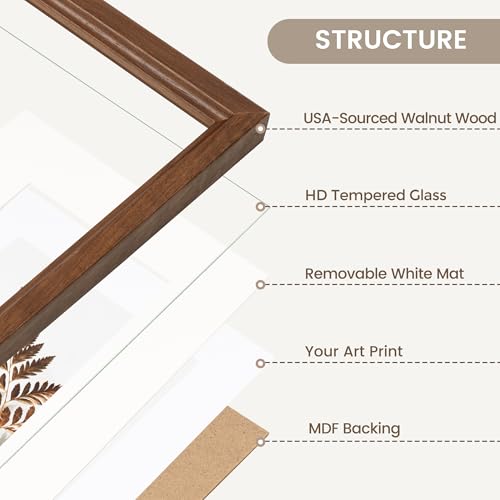 Natural Walnut Wood 8x10 Picture Frame with Glass - Tabletop or Wall Display