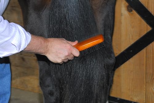 Intrepid International TailWrap Paddle Brush for Horses - Durable Solid Wood Handle