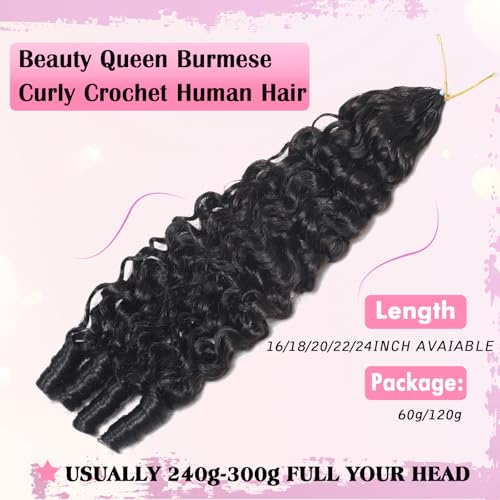 Beauty Queen Burmese Curly Crochet Human Hair 20 Inch 120g Knotless Pre-Separated Feather Human Hair Crochet Bundles 3C4A Lightweight Reusable Remy Hair Extensions for Women Natural Black Color