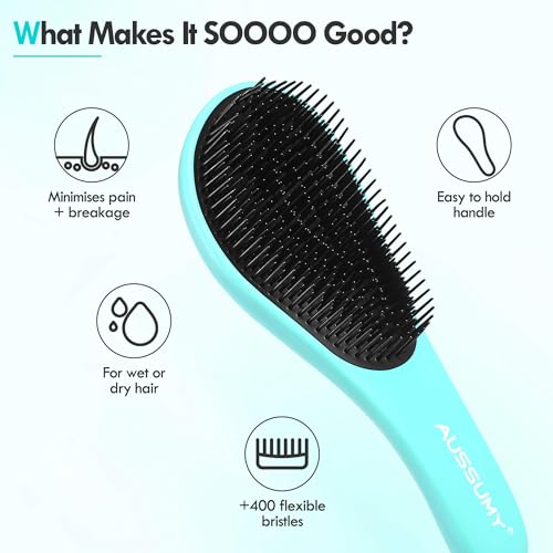 Aussumy Detangling Hair Brush Set - 2 Pack for Kids & Adults, Purple & Blue