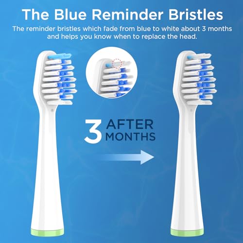 Oralphi 4 Pack Toothbrush Replacement Heads with Cover for Waterpik Sensonic CC-04CD010-1 & STW-03W Series - Includes Case
