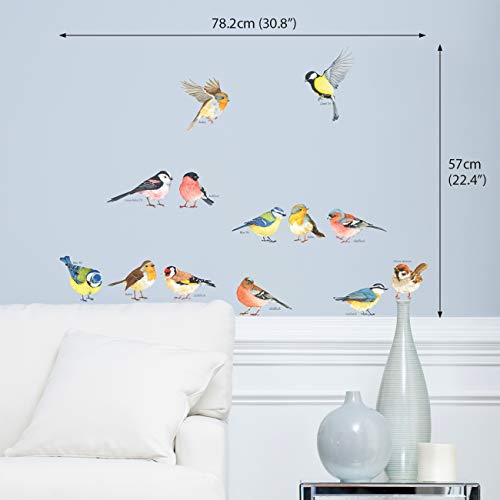 DECOWALL Little Birds Kids Wall Stickers - Removable Decals for Nursery