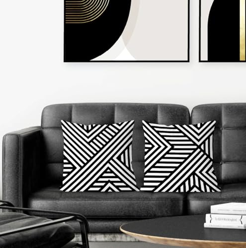 Black and White Decorative Pillow Covers 18x18 (Set of 2) - Abstract Flannel for Indoor & Outdoor Use