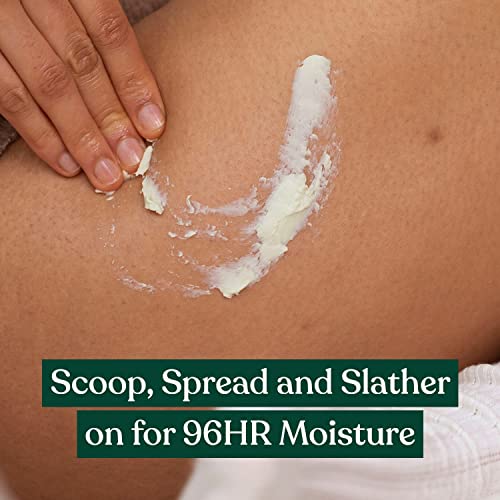 The Body Shop Shea Body Butter — 96H Nourishing Moisturizer for Dry Skin, 1.69 oz