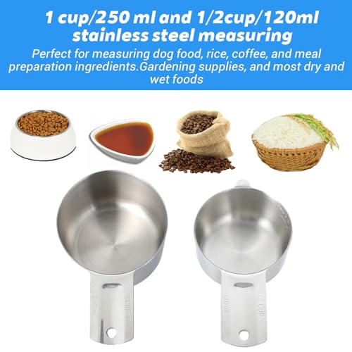 Stainless Steel Measuring Cup Set - 6 Pcs with Etched Measurements