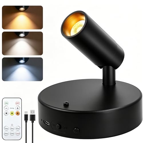 Rechargeable Indoor Spotlight with Remote | Dimmable 3-Color LED Picture Light