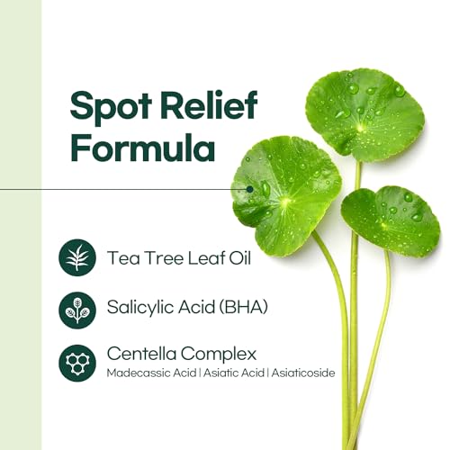 Petitfee Centella Acne Spot Patches - 115 Count, Hydrocolloid & Tea Tree Oil