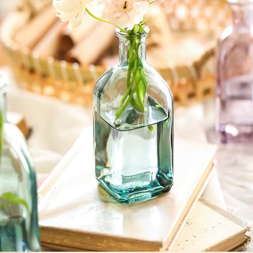 Coastal Style Glass Vase Set of 2 - Nordic Minimalist Decor