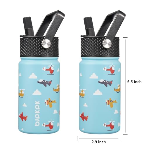 BJPKPK 15oz Insulated Water Bottle with Straw Lid - Leak Proof, BPA-Free