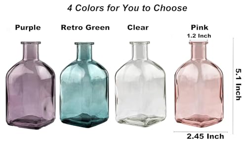 Coastal Style Glass Vase Set of 2 - Nordic Minimalist Decor