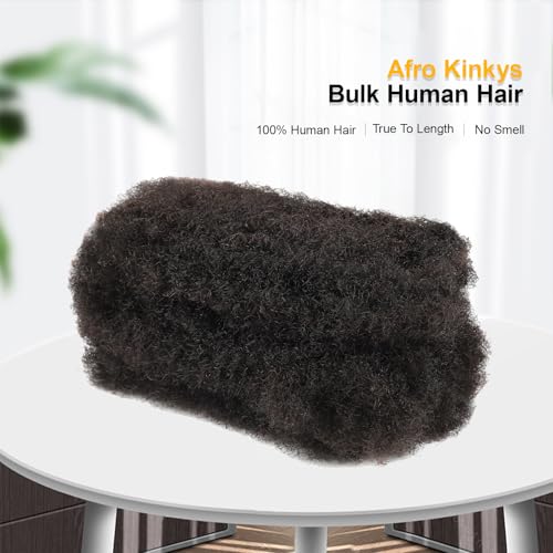 Vlliyava 10-Inch Afro Kinky Bulk Human Hair for Braiding & Locs (30g)