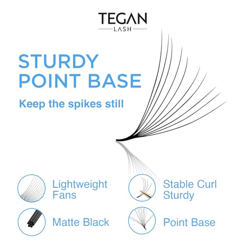 TEGAN LASH 500 Promade Volume Eyelash Extensions, 10D 0.05 C-Curl 11mm