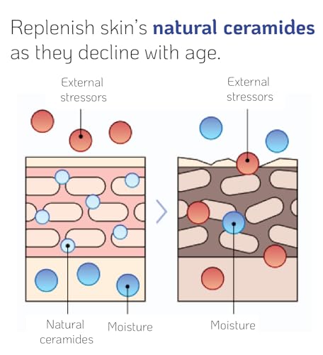 NANO RECIPE Ceramide Concentrate Serum - Barrier Strengthening & Hydrating