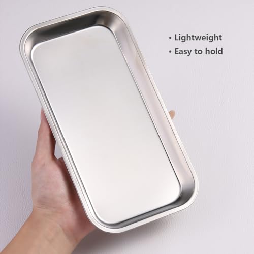 Stainless Steel Nail Art Storage Tray - 8.85x4.6 inches