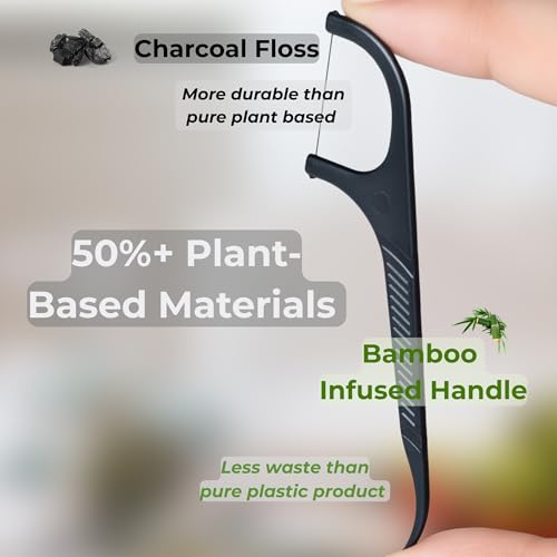 Portable Dental Floss Dispenser Set - 288 Count Bamboo Charcoal (Black)