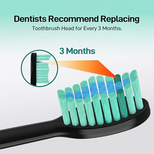 DenSecc Black Series Replacement Brush Heads for AquaSonic Black Toothbrush