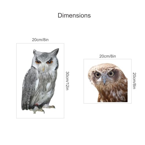 3D Realistic Owl Sticker Set - 20x20cm & 20x30cm Waterproof Vinyl Decals