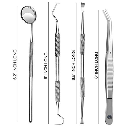 Krisp Beauty 4 Pc Dental Tools Kit - Stainless Steel Teeth Cleaner & Tartar Remover