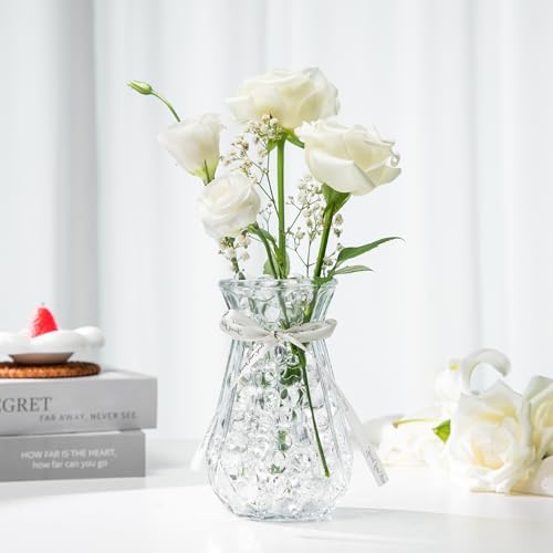 ANZON MORIES Clear Deco Granules - 205k Pcs for Vases, Reusable & Durable, Medium Size 0.36"-0.46"