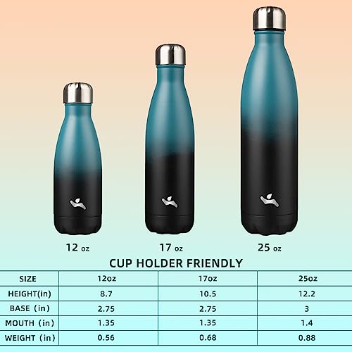 25 oz Insulated Stainless Steel Water Bottle - Indigo Black