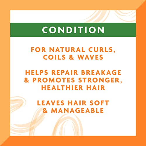 Cantu Leave-In Conditioning Cream with Shea Butter, 12 oz (Pack of 2)