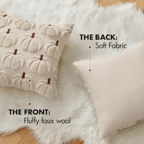 MIULEE Fall Pumpkin Pillow Covers Set of 2 - Cozy Autumn Decor 18x18